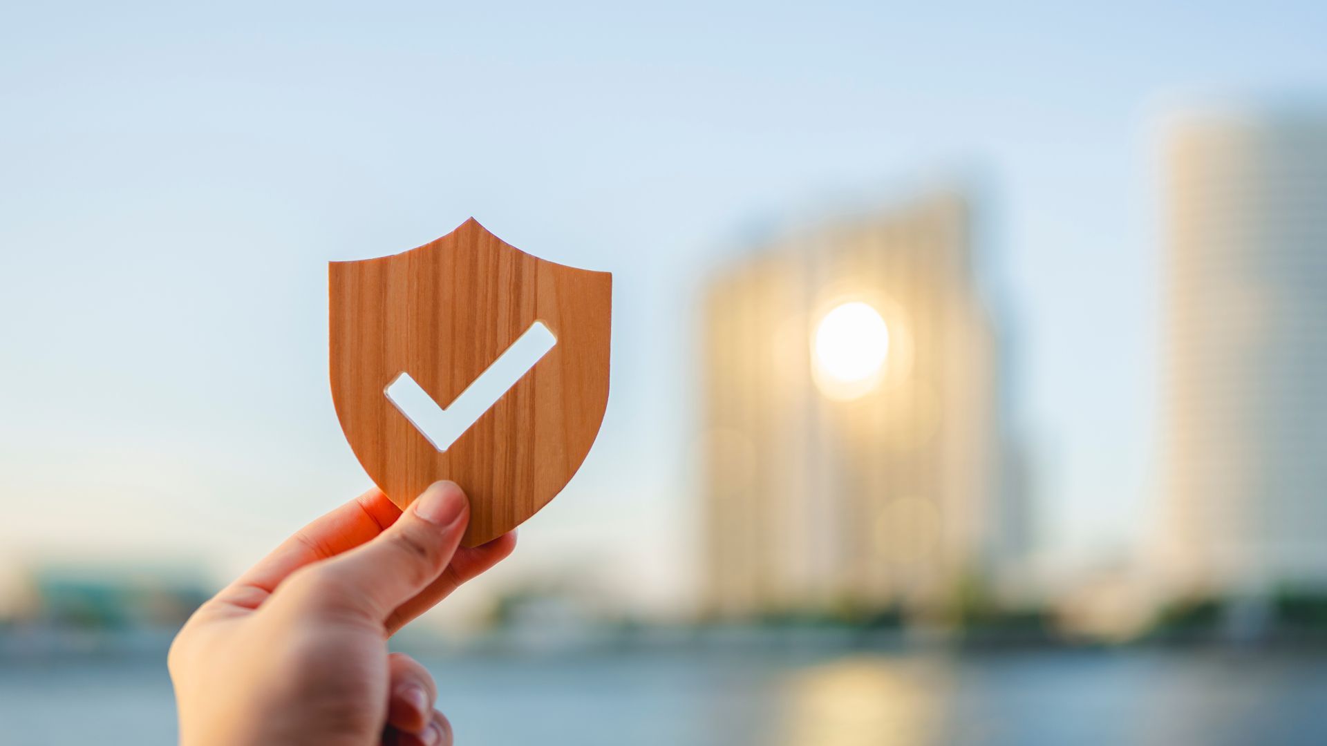 A person is holding a wooden shield with a check mark on it.