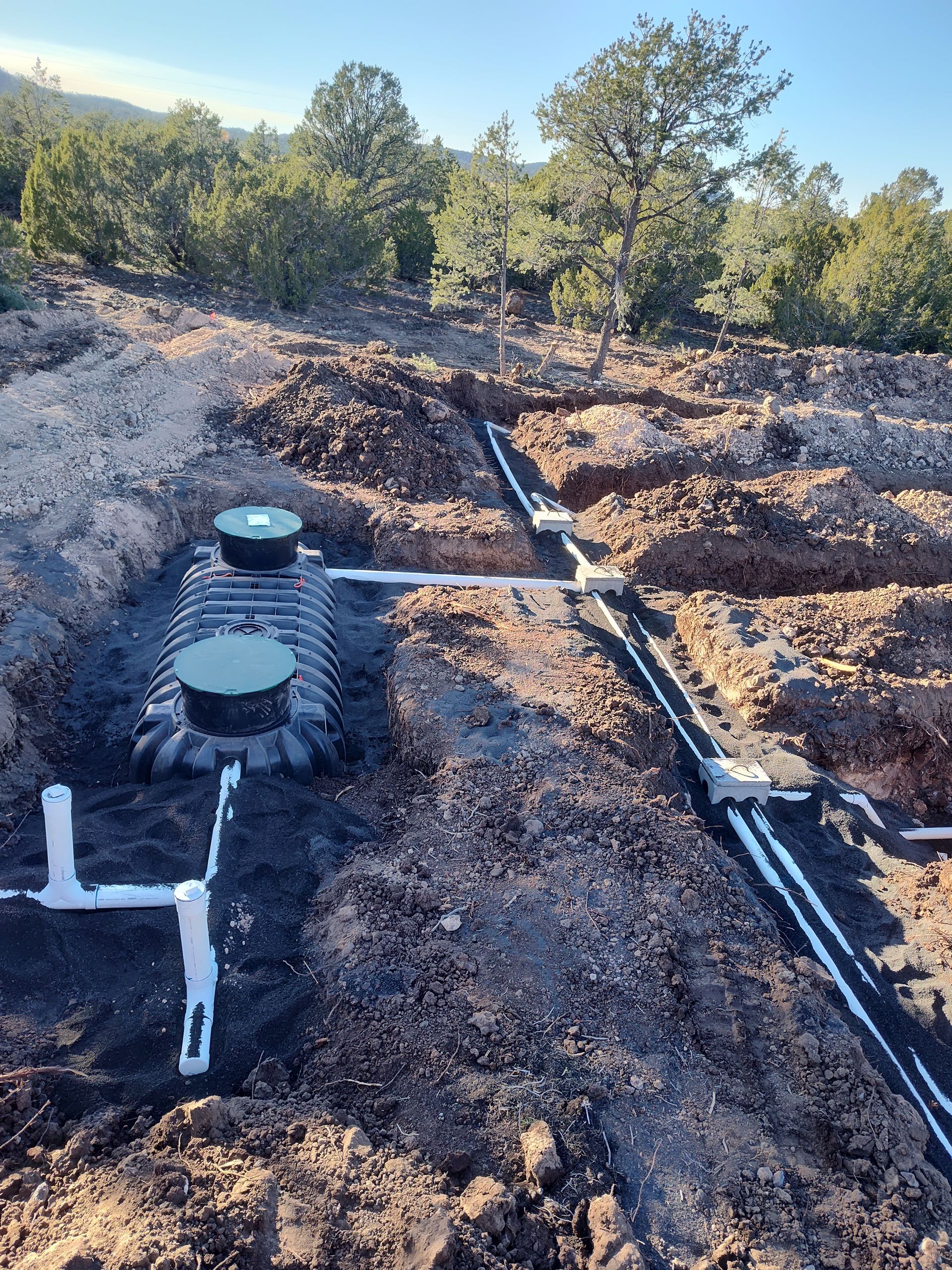 Septic system installation site with black pipes, green caps, and trenches in a wooded dirt lot
