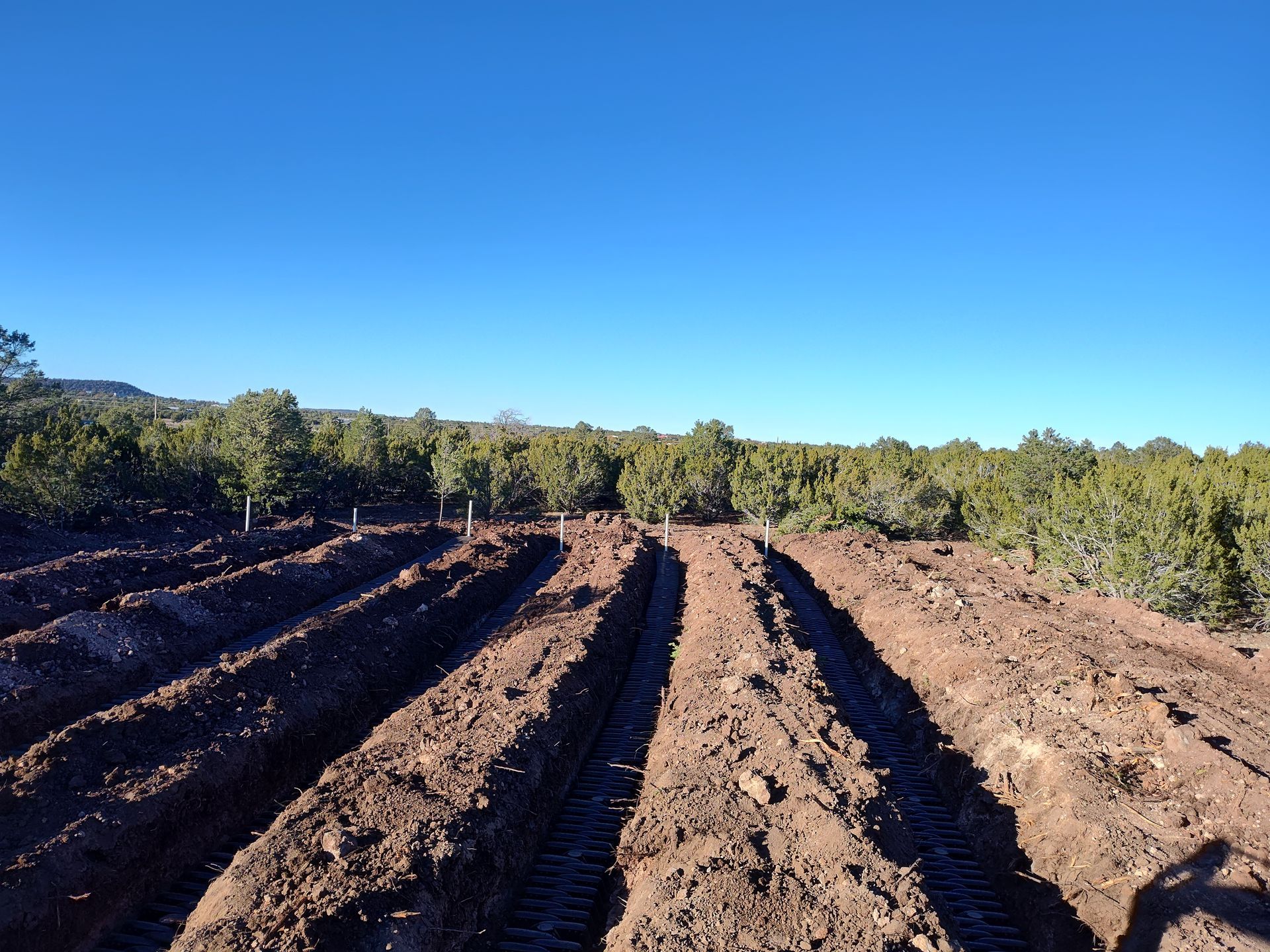 Freshly plowed dirt rows in a field under a clear blue sky, with trees along the horizon