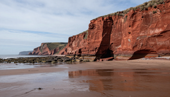 Red sandstone cliffs at low tide