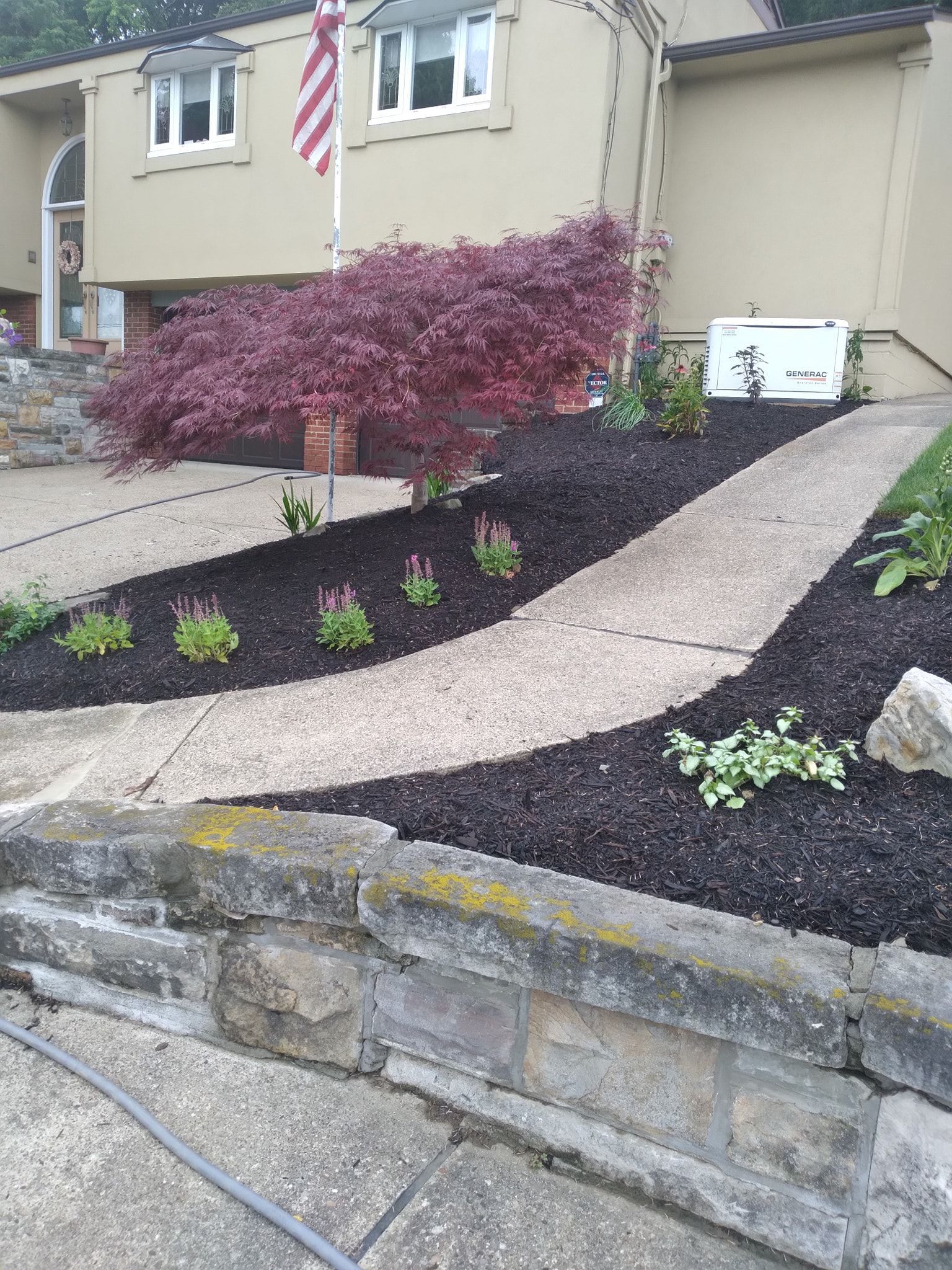 House with landscaped front yard, stone walkway, red tree, and black mulch.