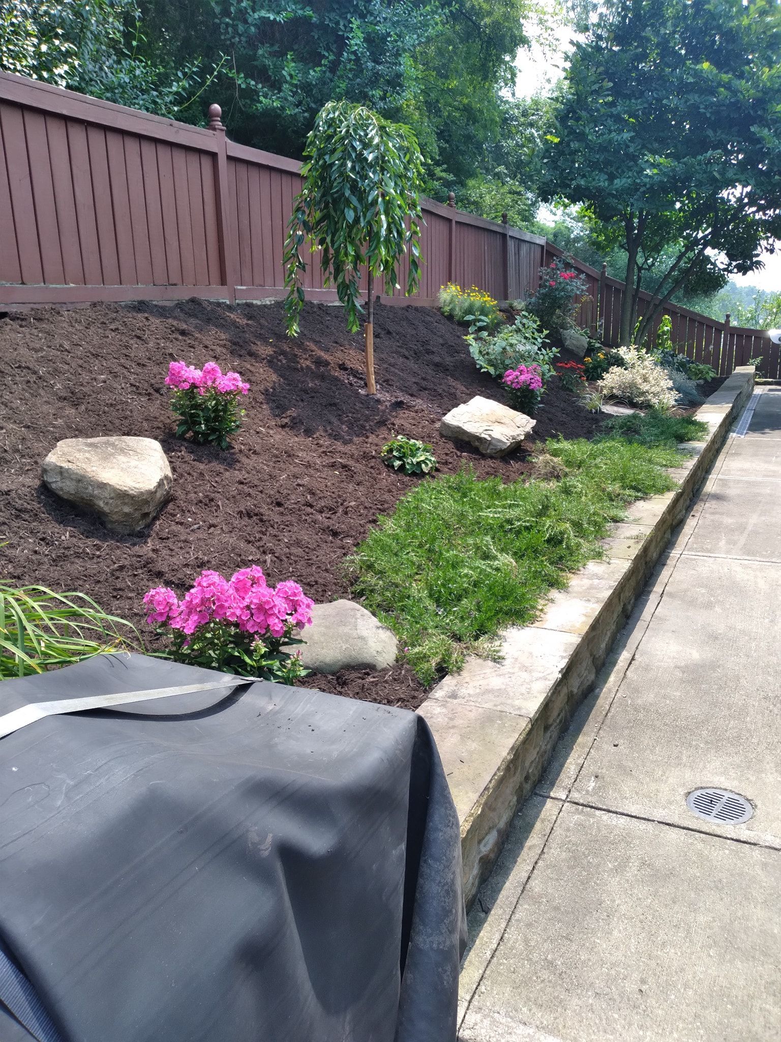 Flower bed with pink flowers, rocks, and a brown fence.