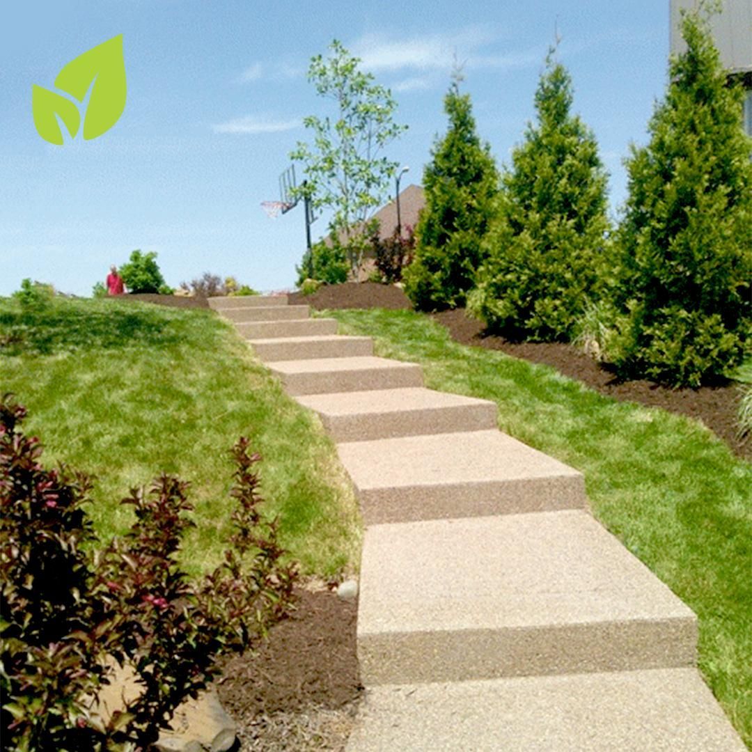 Stone steps lead up a grassy hill, flanked by bushes and trees under a blue sky.