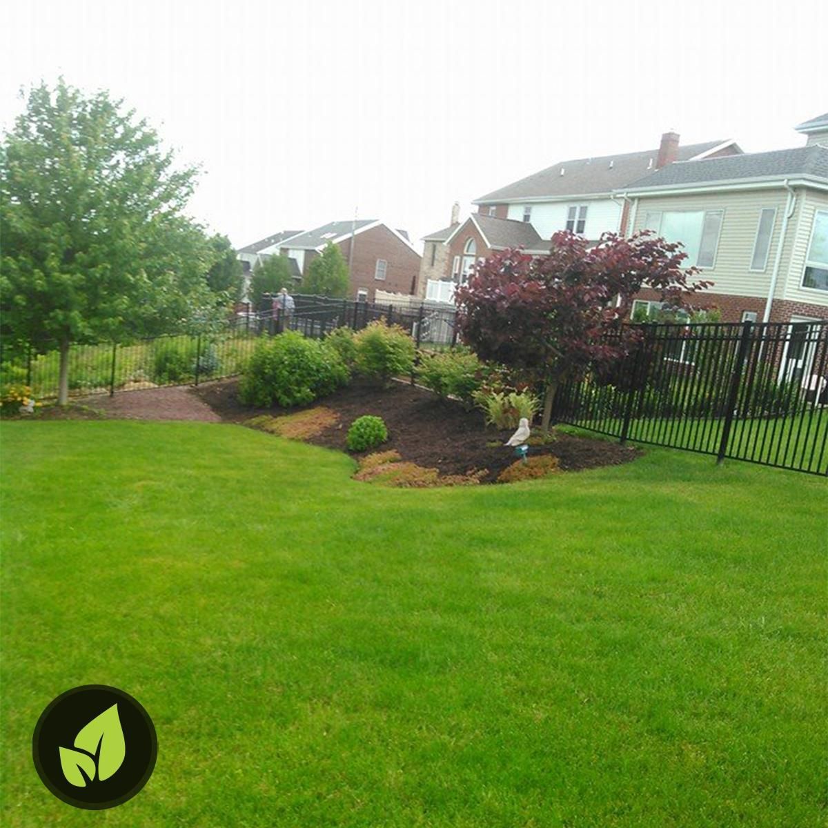 Green lawn with landscaped garden beds, black fence, and houses in the background.