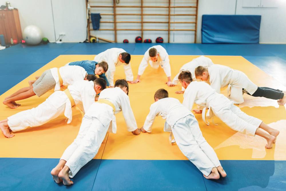 taekwondo fitness