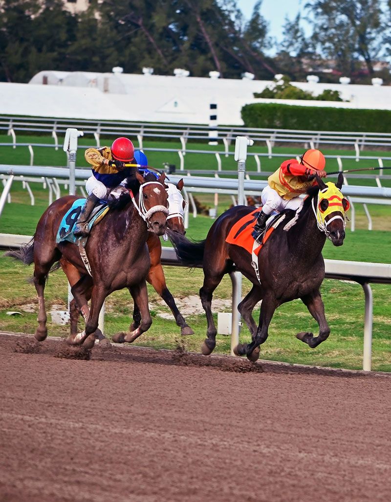 Two racehorses, jockeys on their backs, compete on a dirt track.