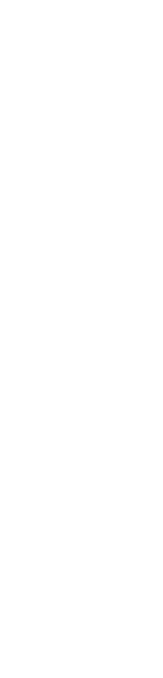 Empty white space.