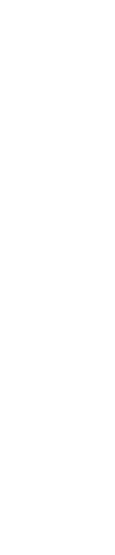 Blank white background.