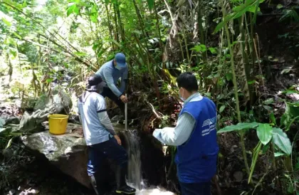 Tres personas recogiendo agua de un pequeño arroyo en un frondoso bosque.