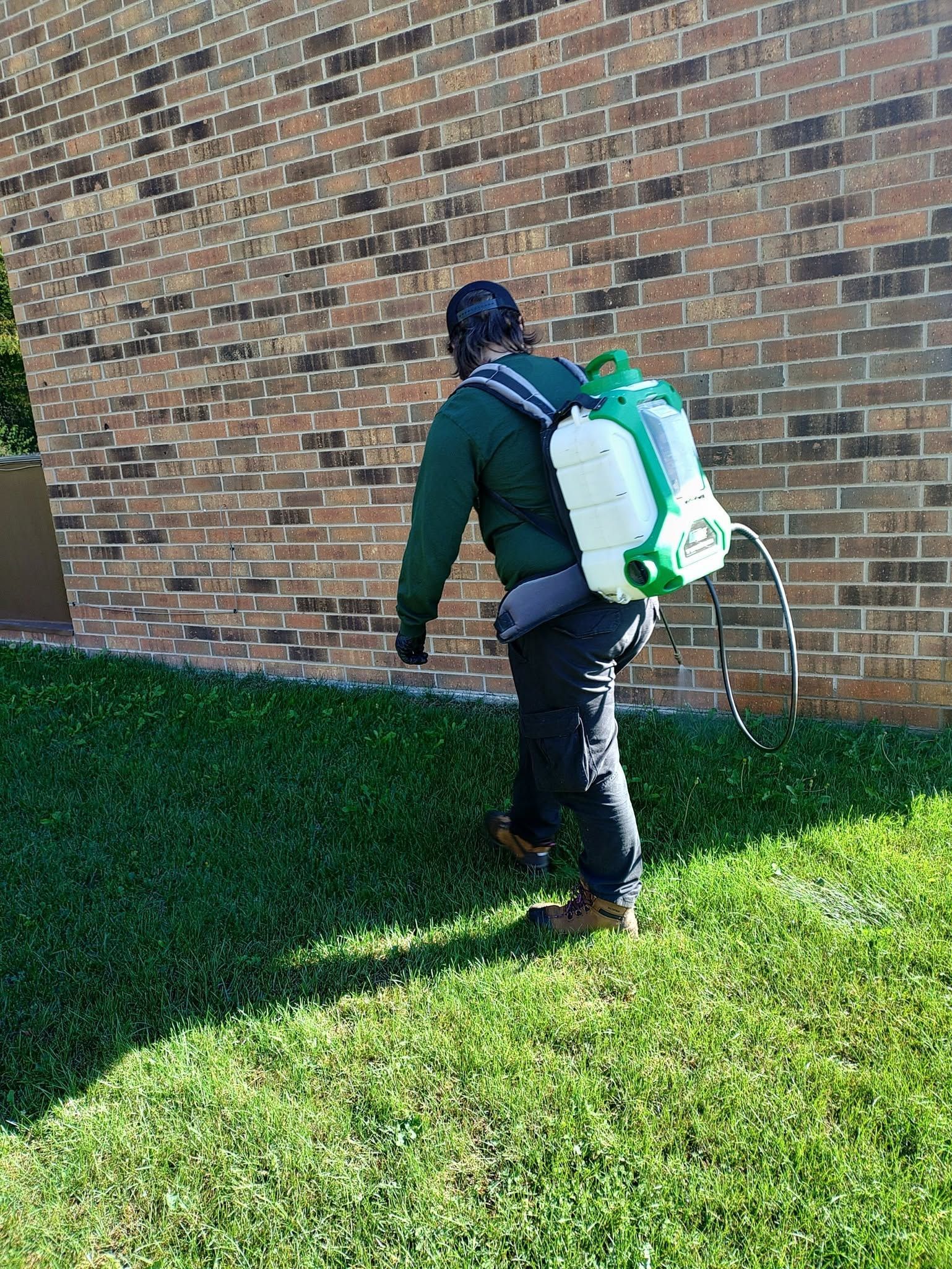 Person spraying a brick wall with a backpack sprayer on a sunny lawn