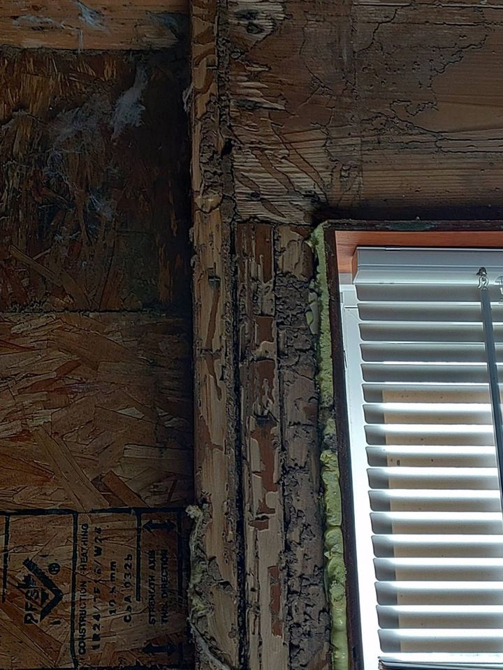Close-up of a textured wall beside a window with white blinds and wooden trim