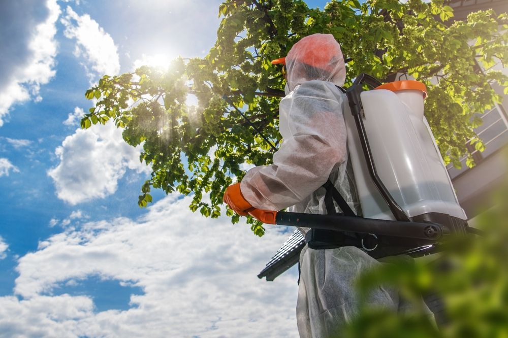 Person in protective suit spraying fruit trees with a backpack sprayer under a sunny sky