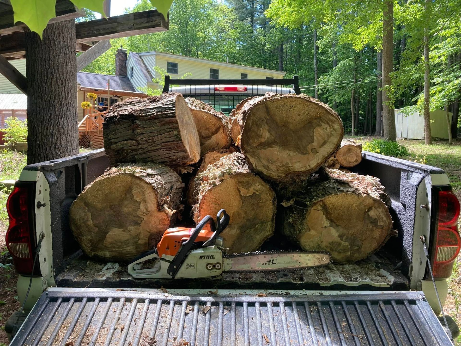 Pickup truck bed loaded with large cut logs, with a chainsaw on the tailgate in a wooded yard