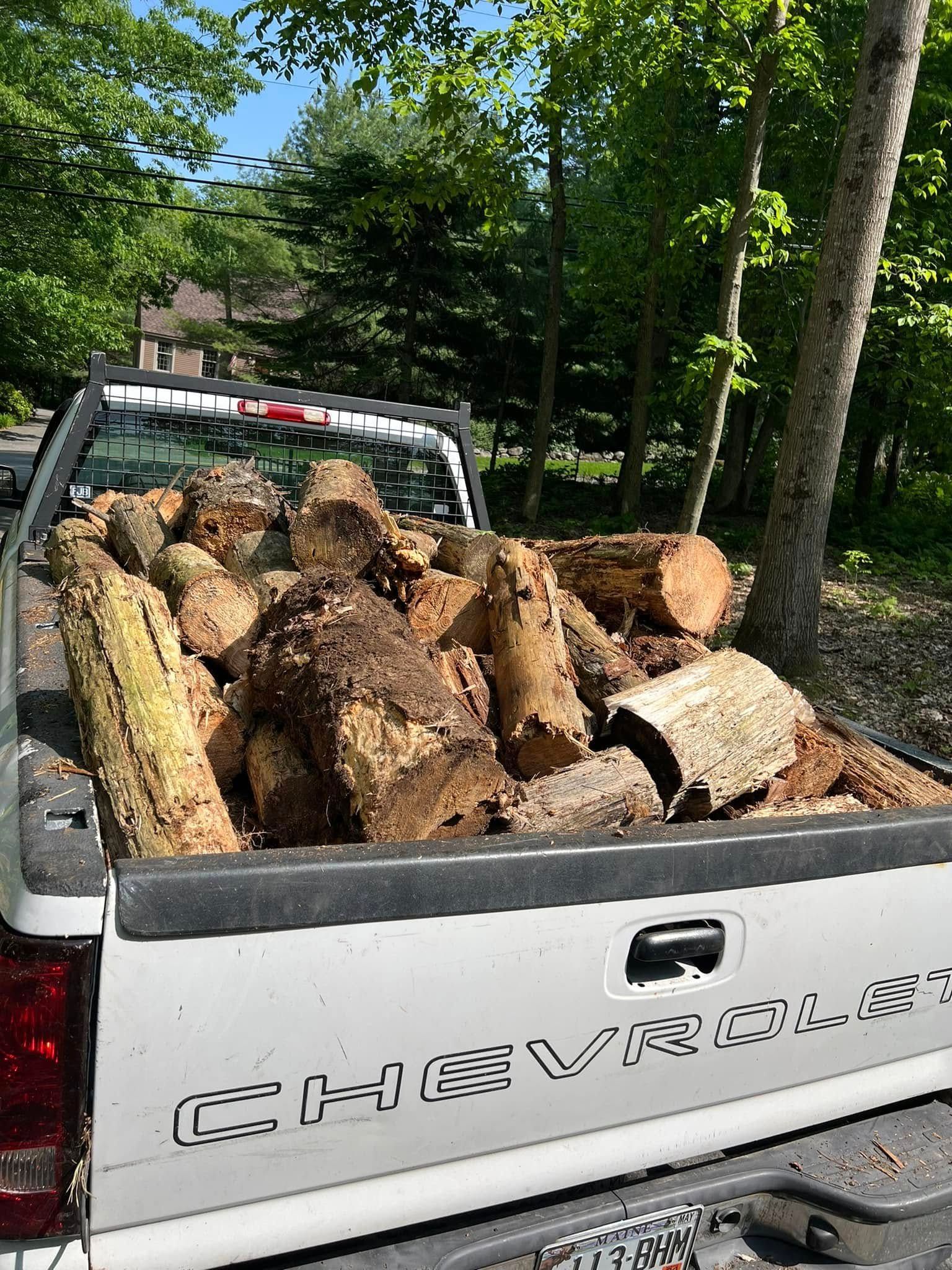 Pickup truck bed loaded with cut logs in a wooded area