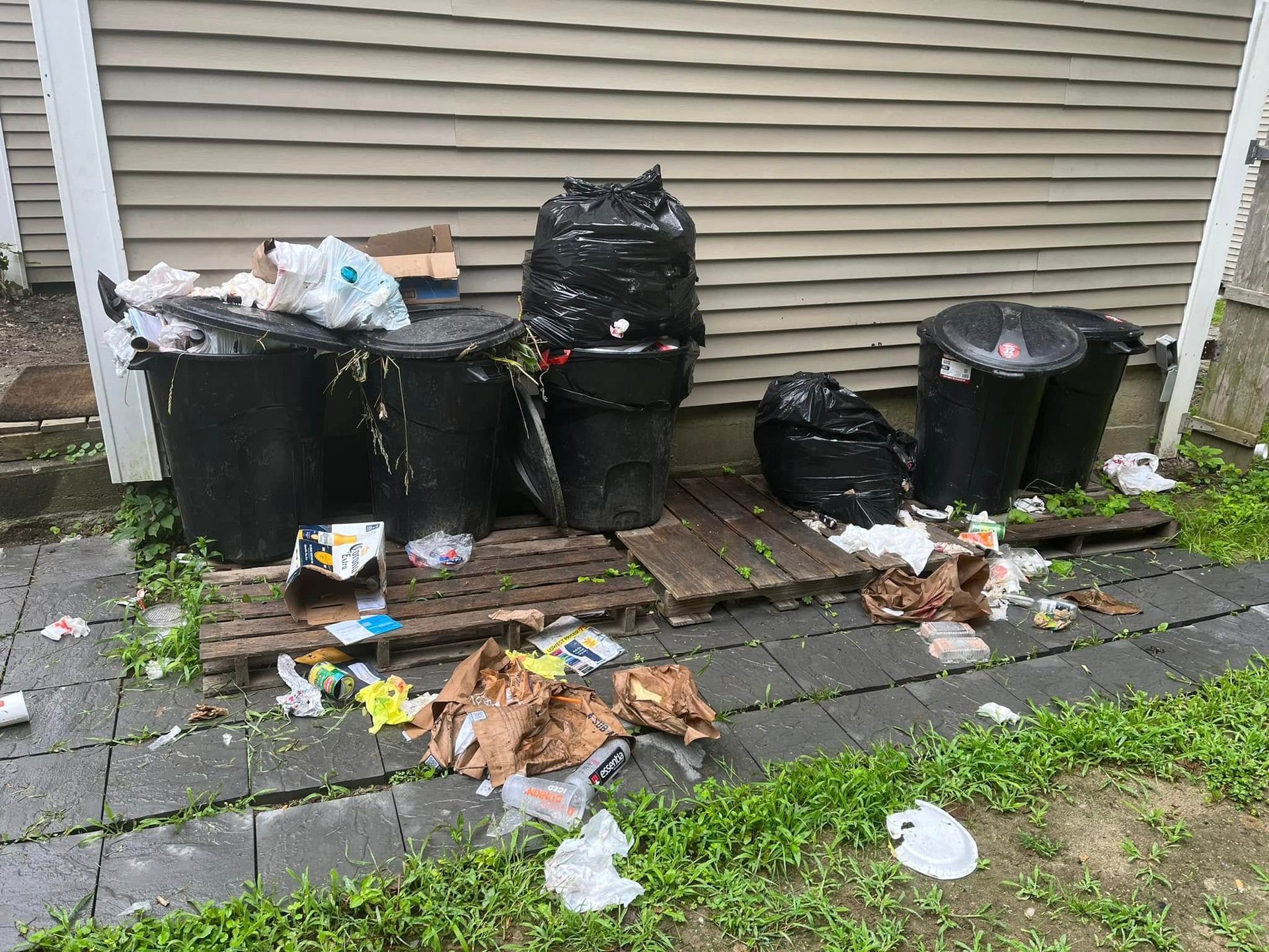 Overflowing trash bins and scattered litter beside a building wall and grass.