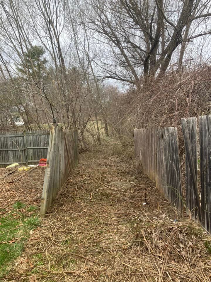 Narrow muddy path between wooden fences leading to bare trees under an overcast sky