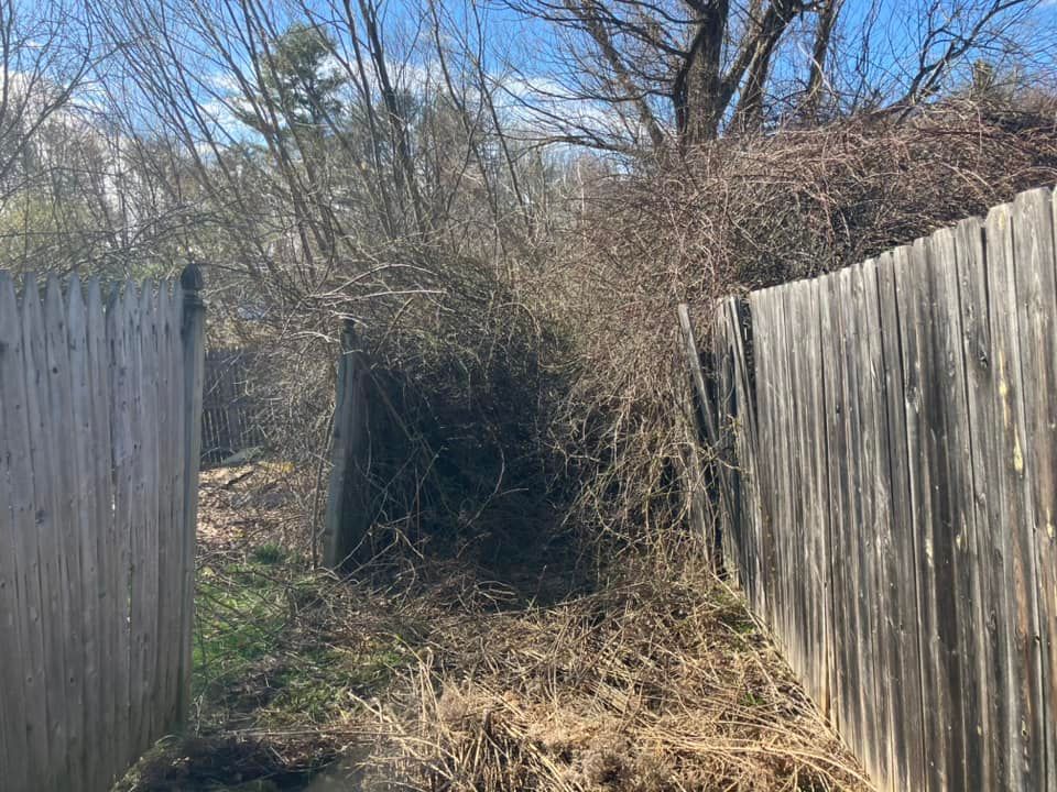 Narrow overgrown path between wooden fences leading to dense brush under a clear blue sky