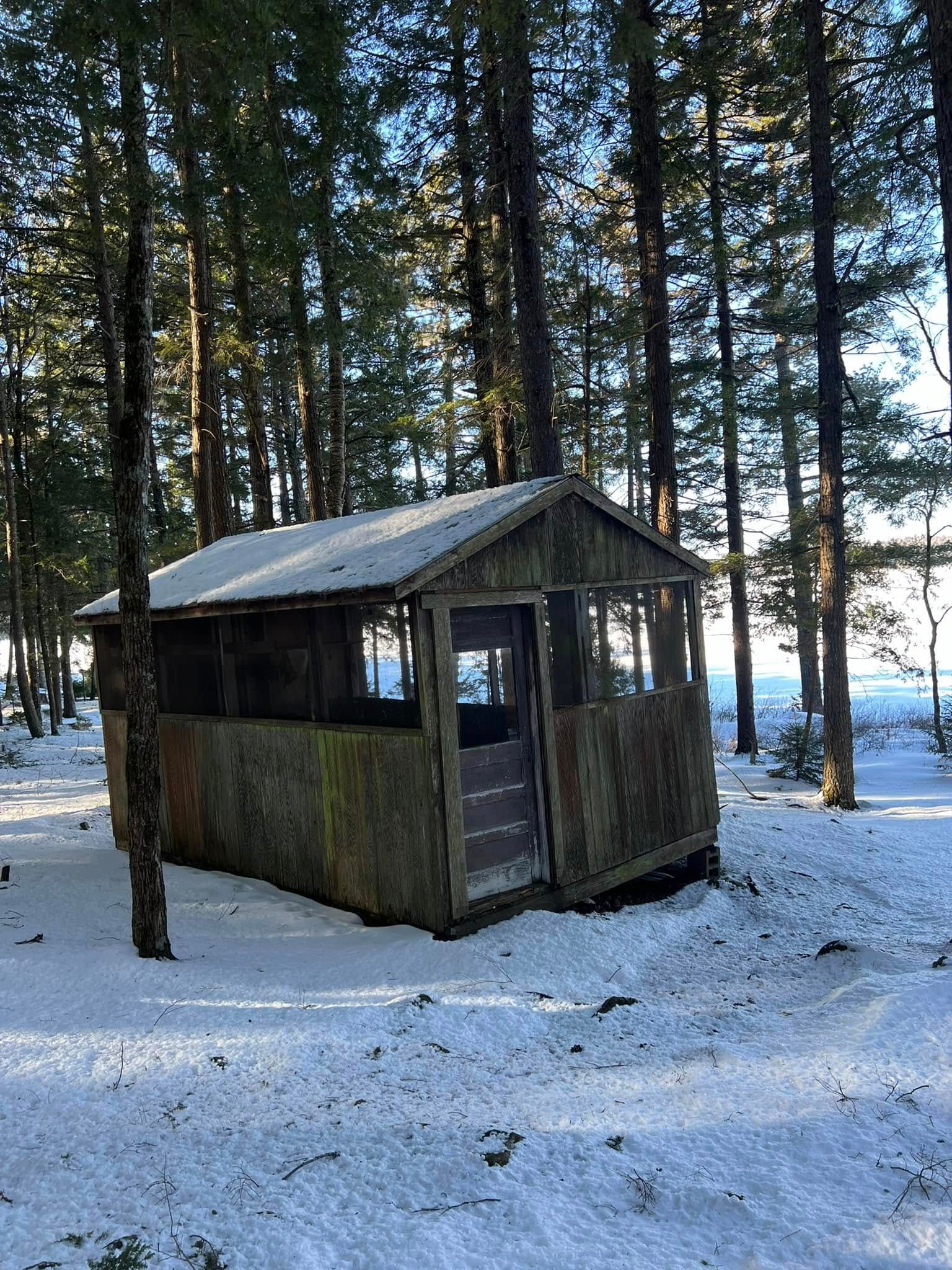 Small wooden cabin in a snowy forest, with tall pine trees around it.