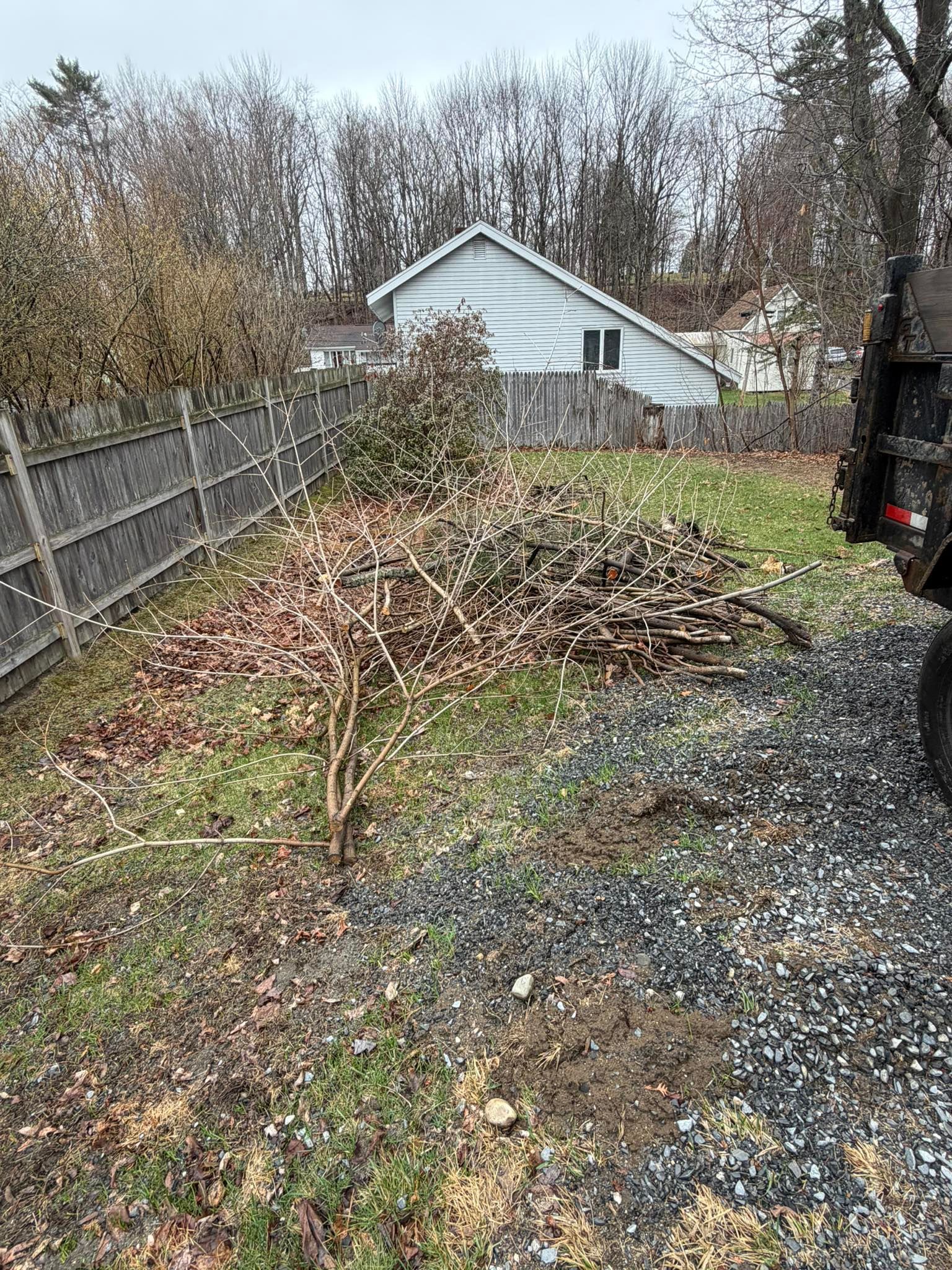 Backyard with a large pile of branches and leaves beside a fence and shed on a cloudy day
