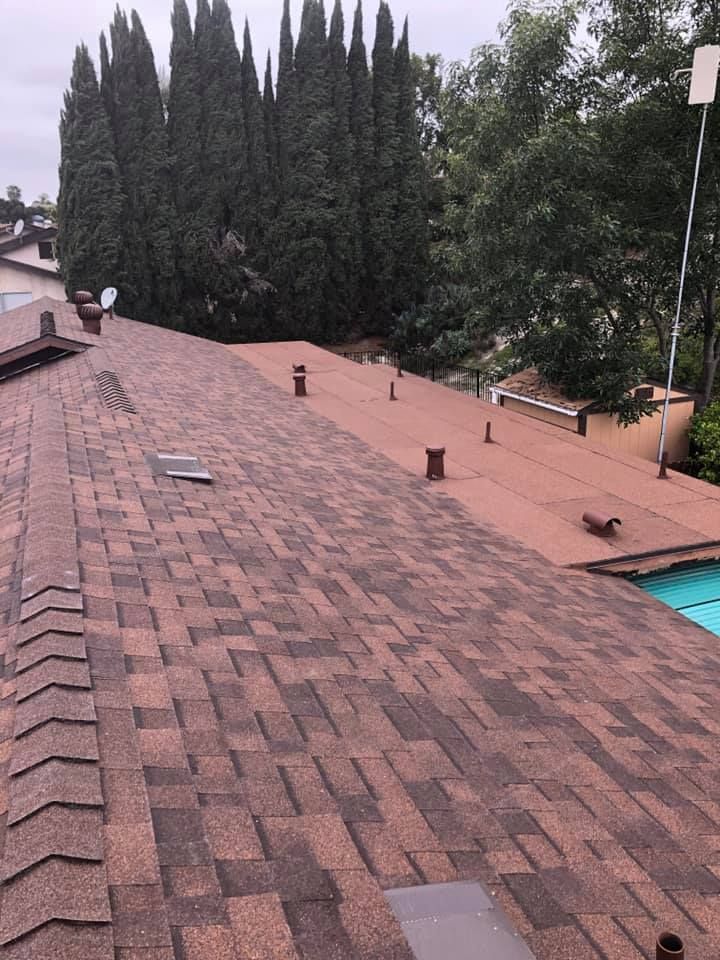 Brown shingled roofs of a house and adjacent structure with vent pipes. Tall trees in the background.