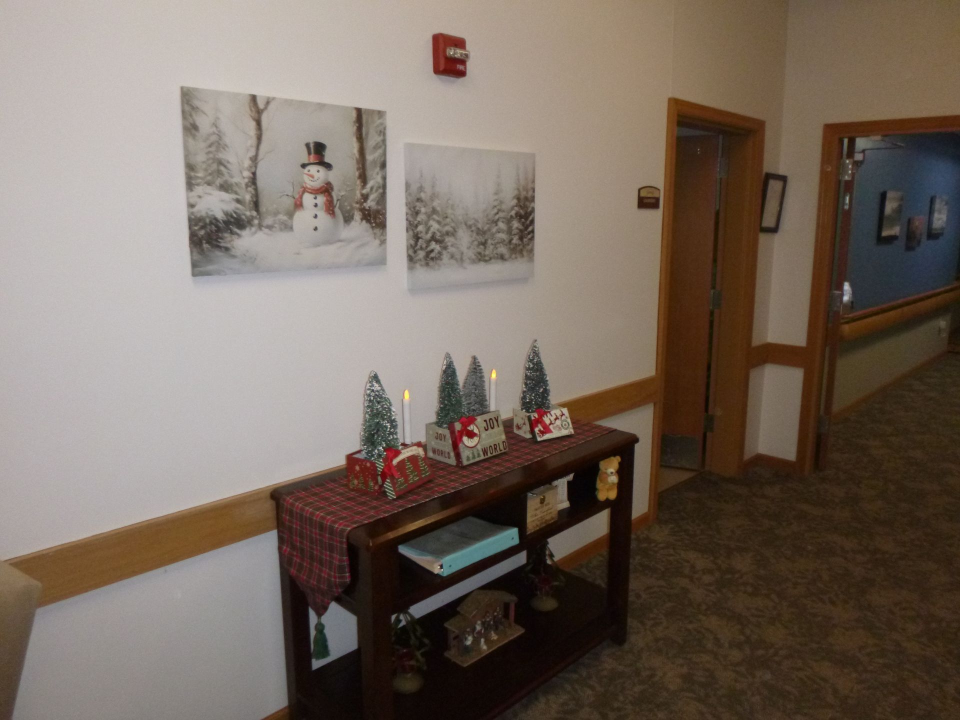 Assisted living care