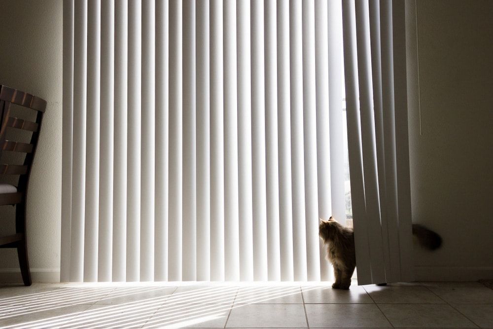 A Vertical Blinds — Blinds in Bogangar, NSW