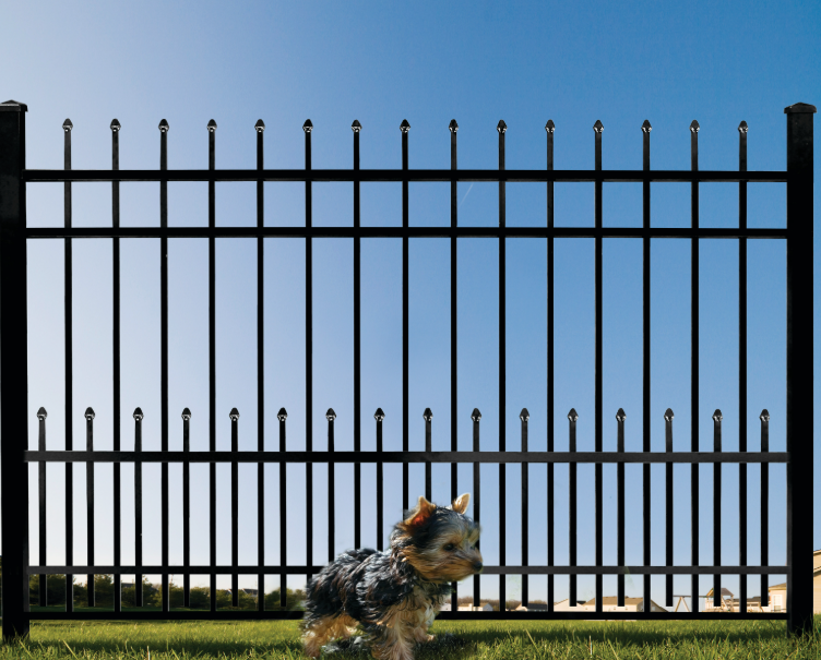 Black metal fence with a small dog on a grassy lawn against a blue sky.