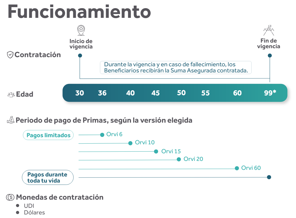 Funcionamiento ORVI 99