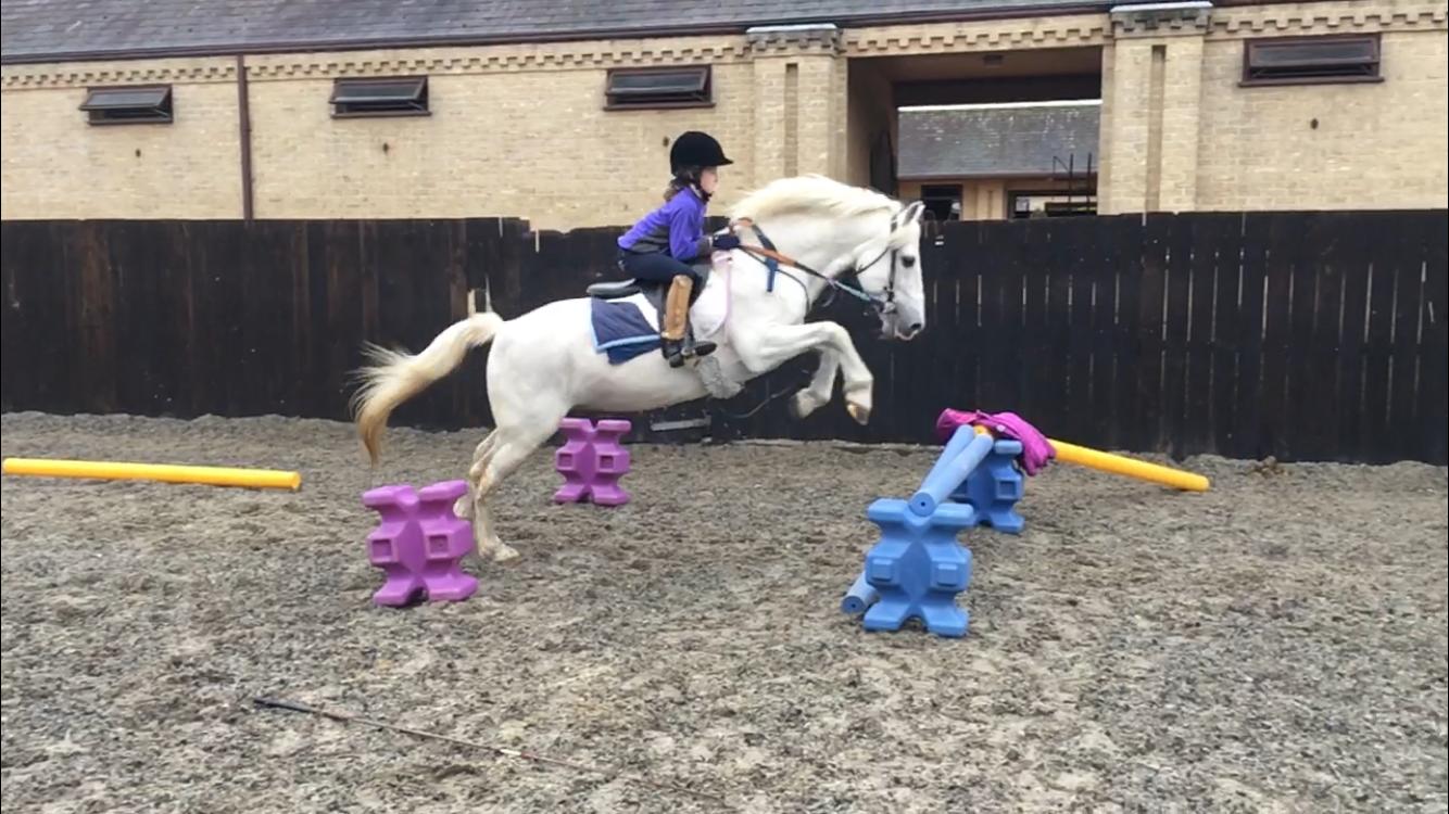 a girl and pony jumping