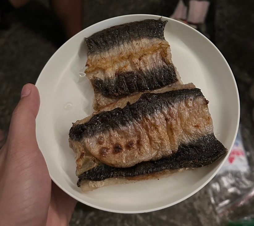 塭稻嚴選-二去生鰻魚片