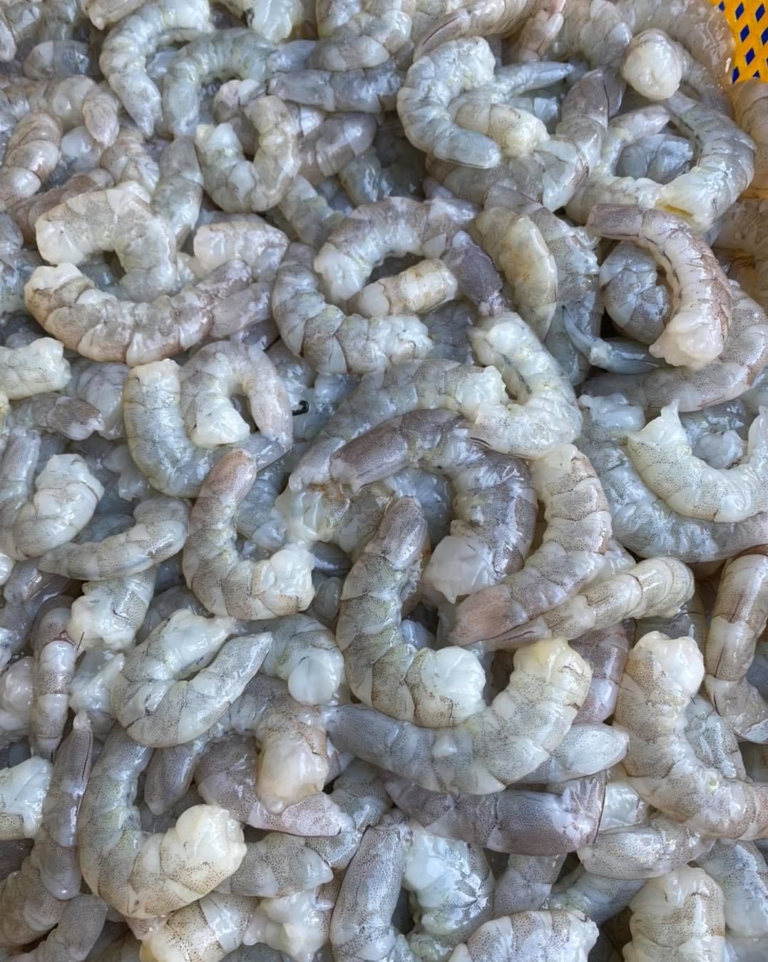 自家養殖-純天然極鮮蝦仁