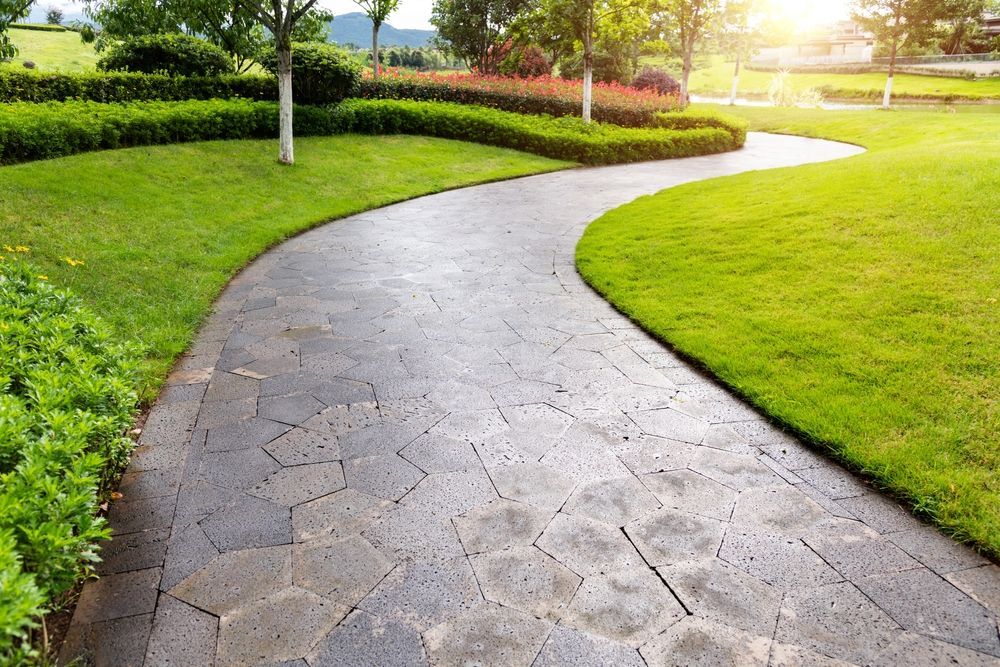 A path in a park with a lot of grass and trees