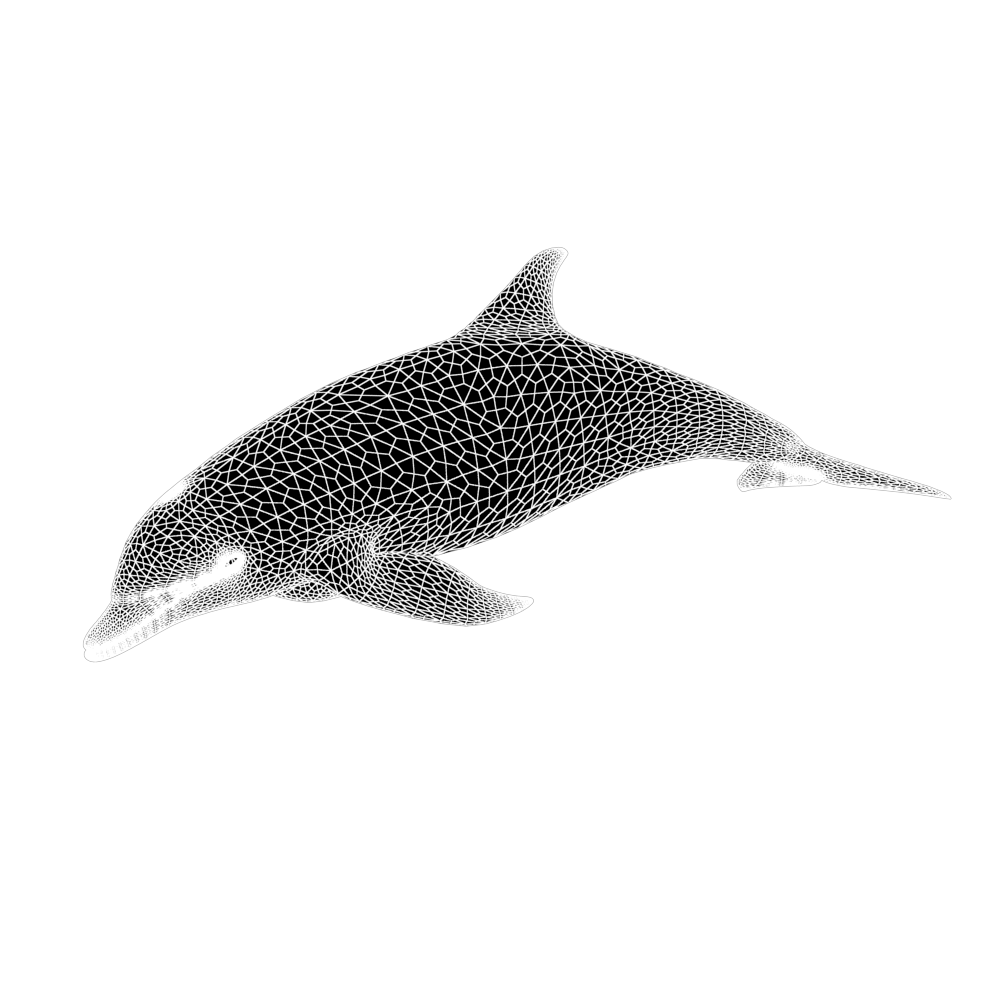 maillage 3D d'un dauphin