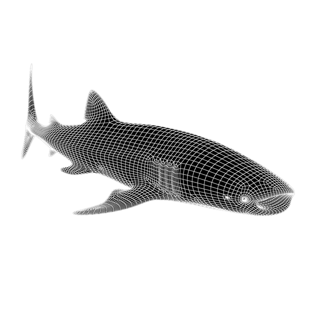 Maillage 3D d'un requin baleine