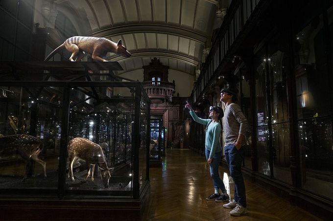 Un groupe de personnes avec des Hololens regarde un thylacine