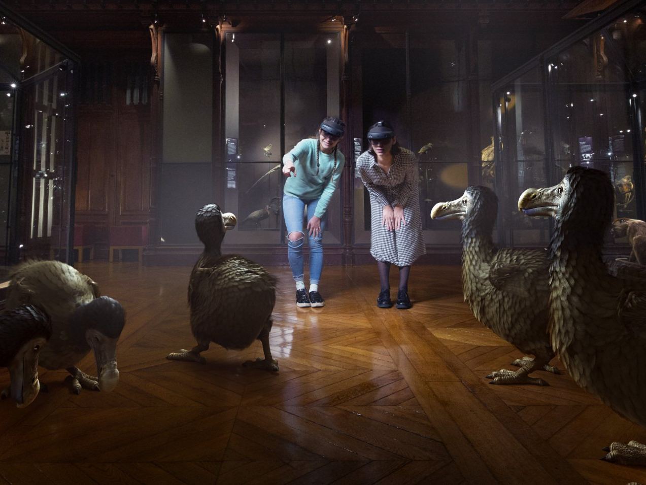 Deux personnes avec des hololens davant des dodos