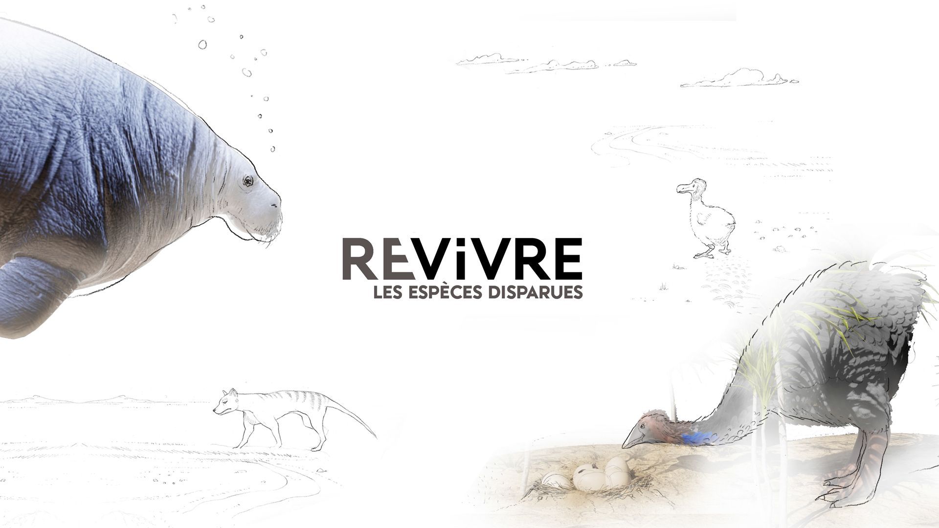 Revivre logo
