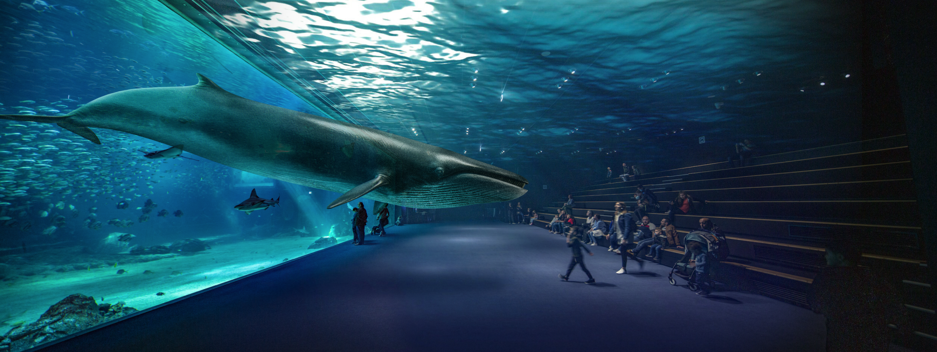 Une baleine nage sort de l'aquarium avec des gens qui la regardent.