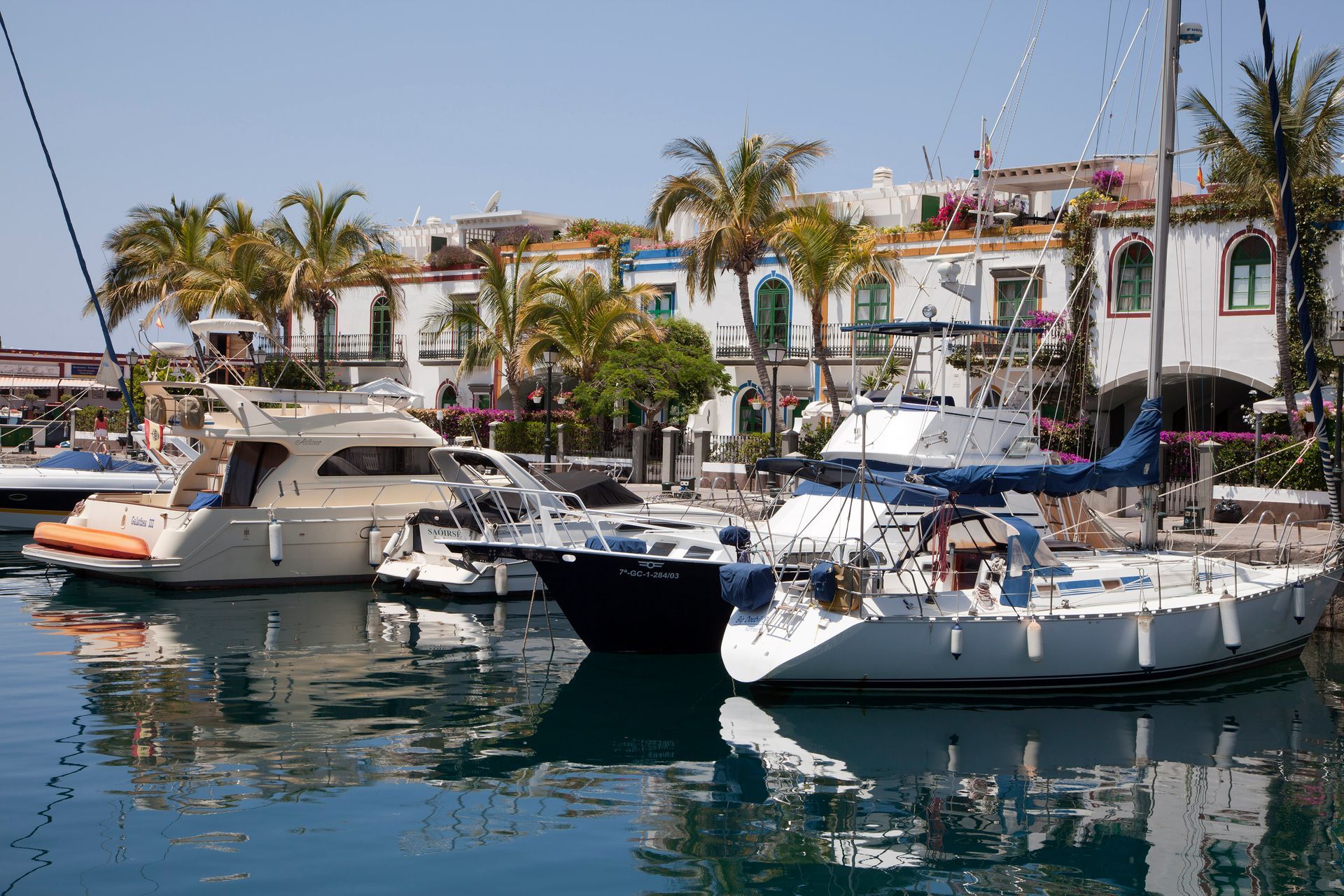 Yachts and sailboats docked in a sunny marina with palm trees and waterfront buildings, Gran Canaria