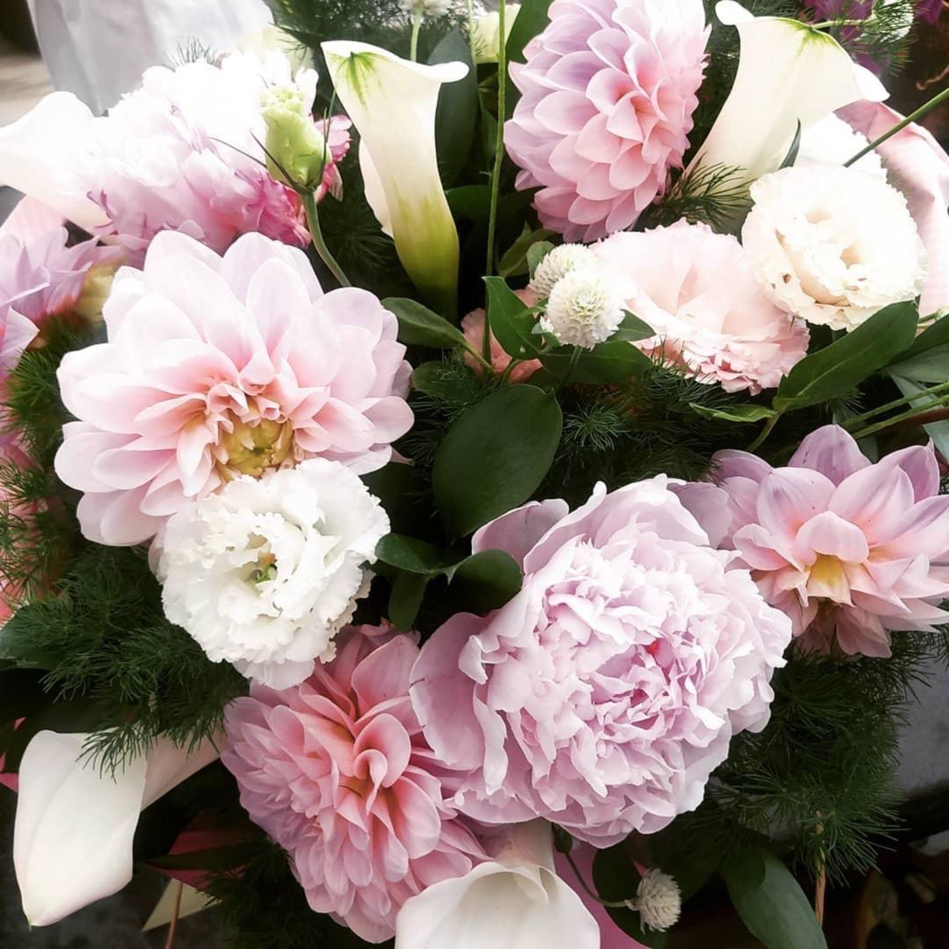 fiori rosa e gialli Fiorista Rischi La Spezia