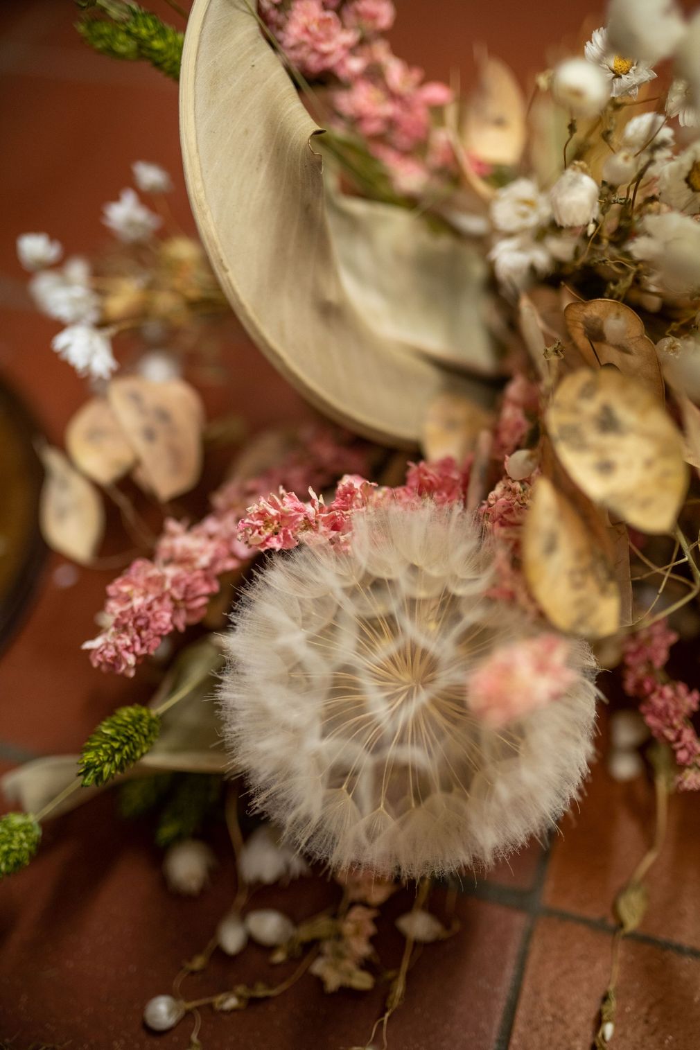 piante fiori per interni