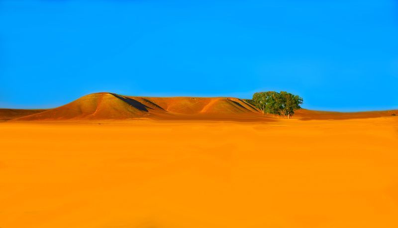 there is a tree in the middle of the desert .