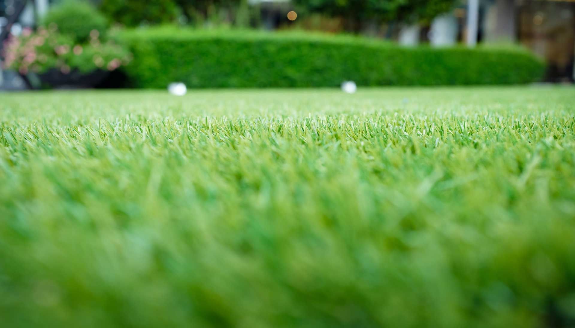 Artificial Turf closeup