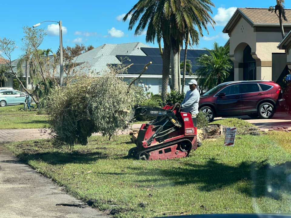 Seasonal cleanup