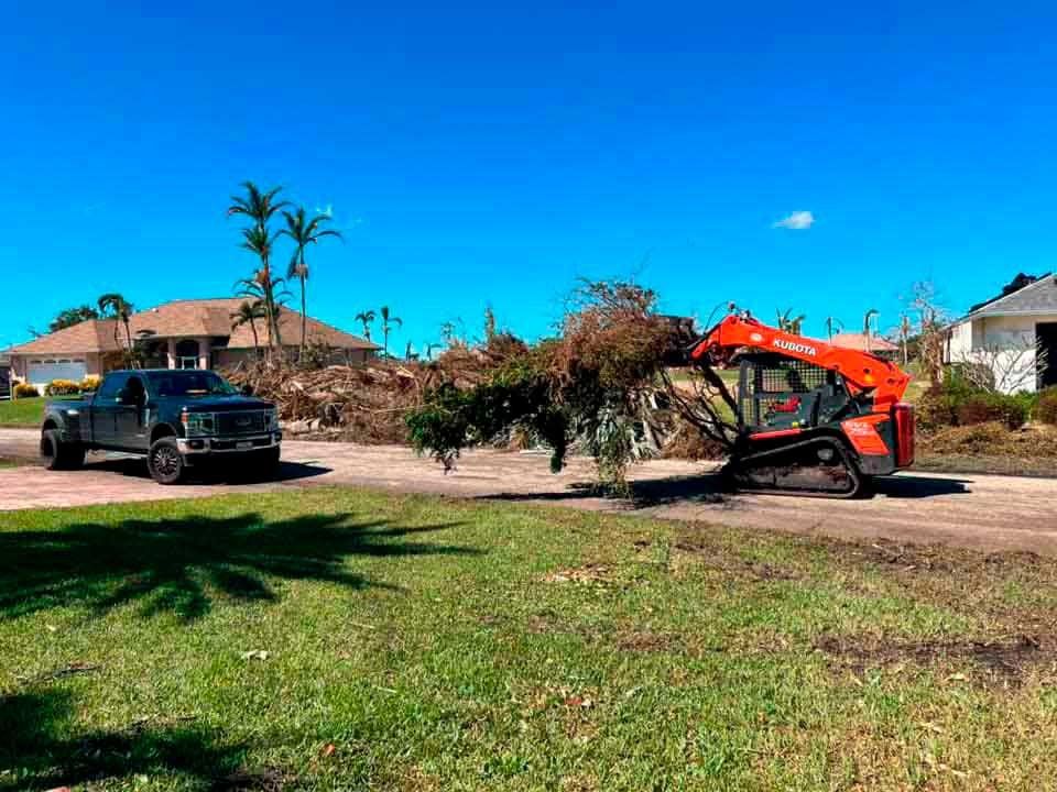 Seasonal cleanup