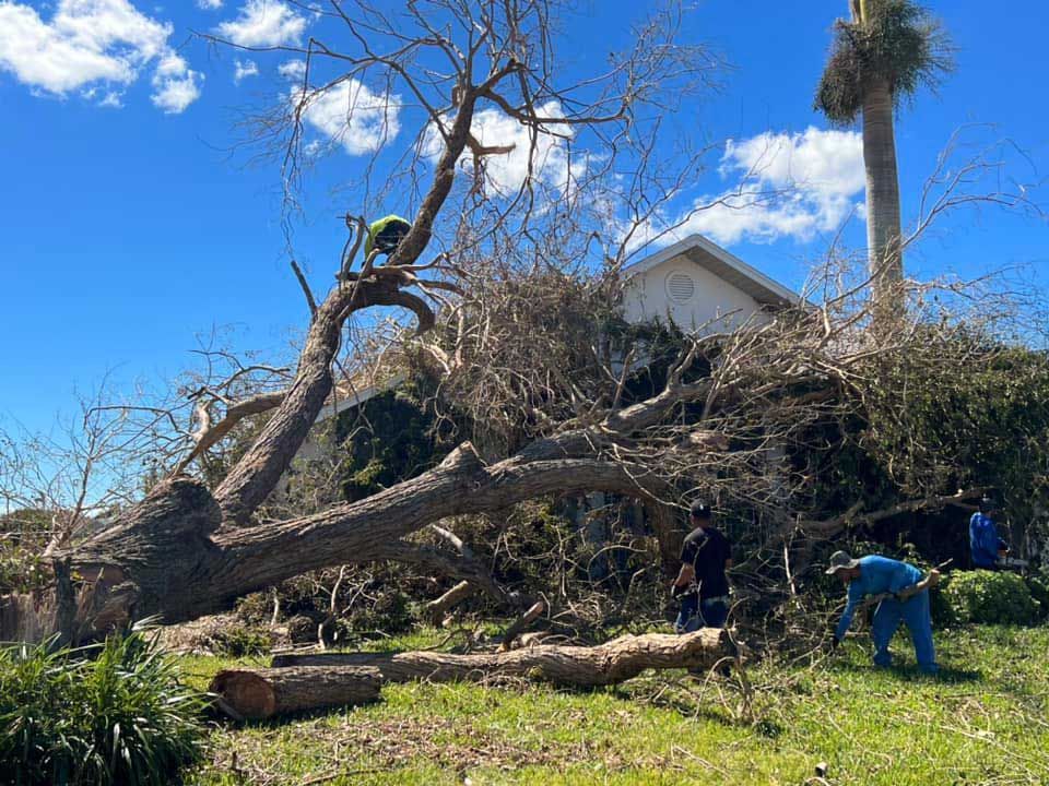 Seasonal cleanup