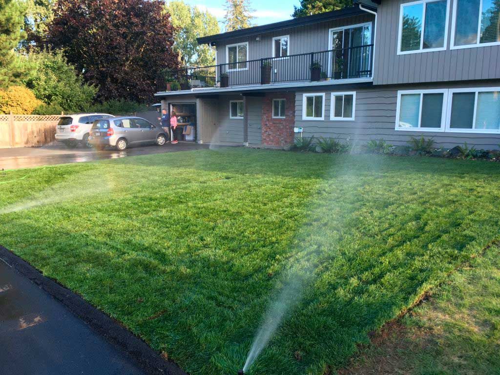 Watering system for the backyard