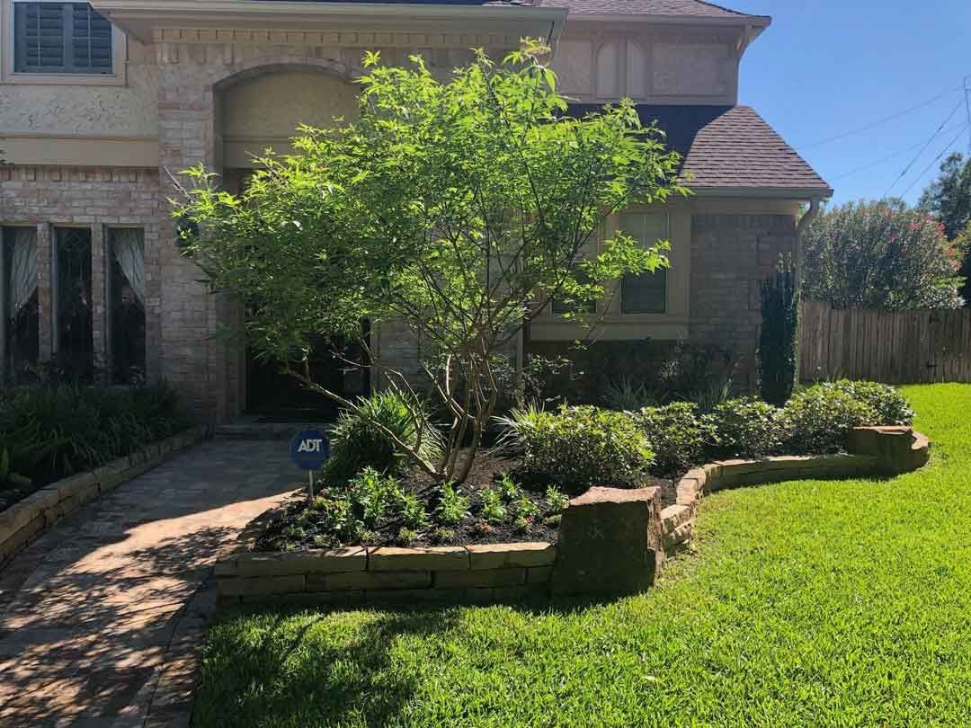 Landscaping stone bed with green plants and small tree
