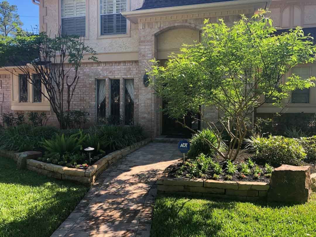 Landscaping front yard