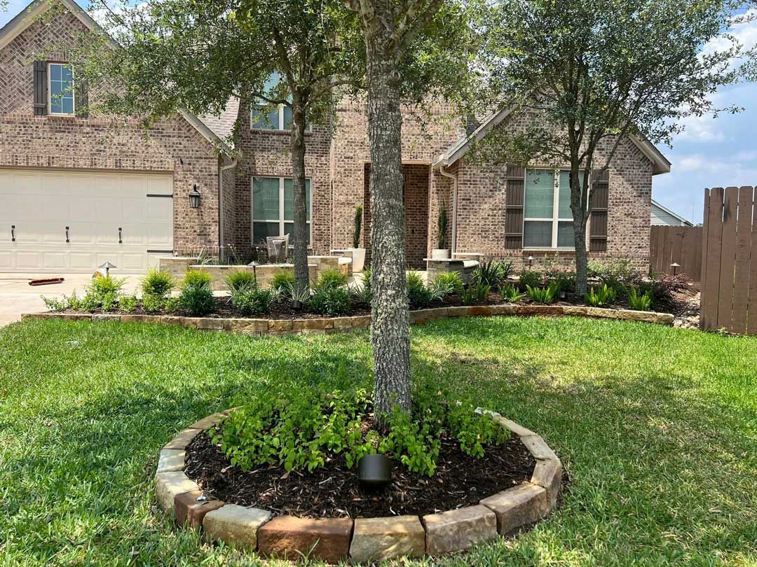 Small circular landscaping bed with plants and sapling